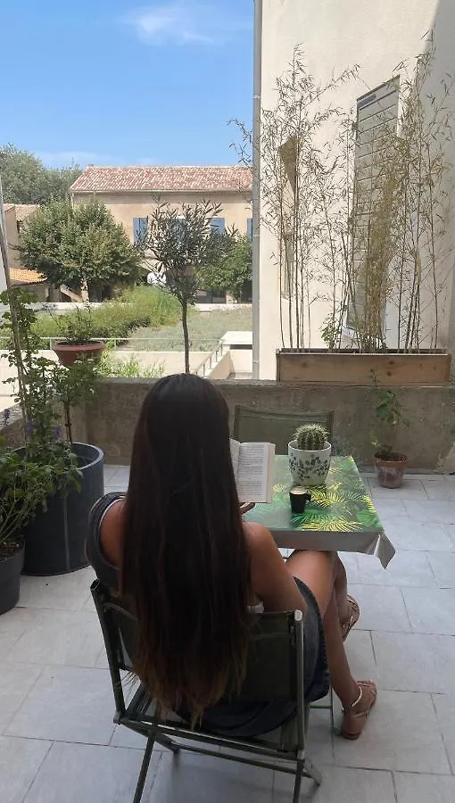Apartment Appartement Au Centre De La Venise Provencale L'Isle-sur-la-Sorgue